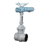 Gate Valve