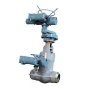 Globe Valve