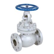 Globe Valve