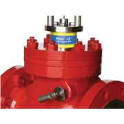 Rupture Pin Valve Model JA – ESV