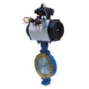 Butterfly Valve